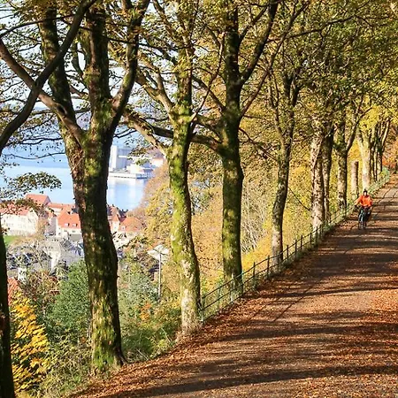 Lägenhet Dinbnb I On Of The I 400m To Bryggen And Floibanen